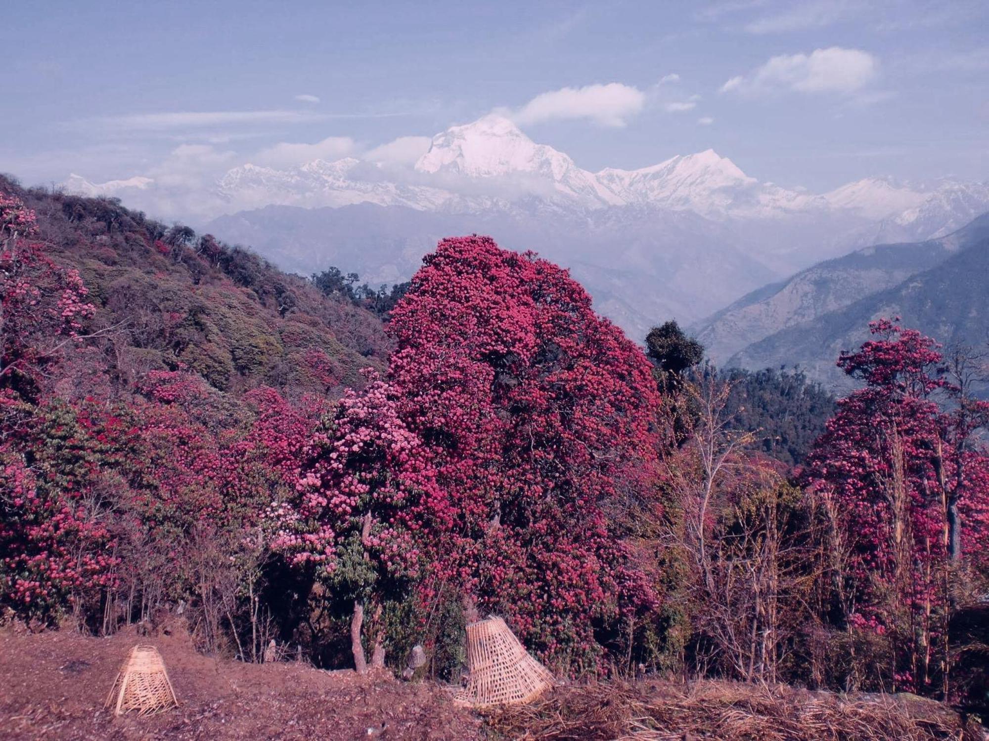Hotel Annapurna View Sarangkot Pokhara Ngoại thất bức ảnh